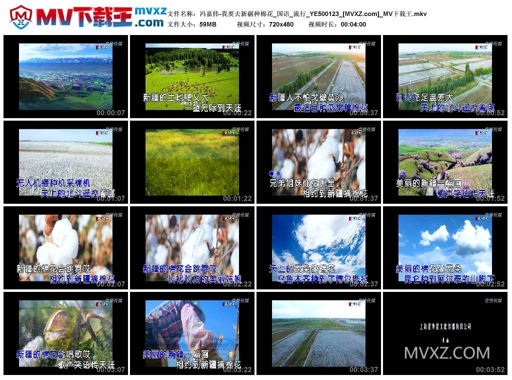 冯嘉伟-我要去新疆种棉花_国语_流行_YE500123